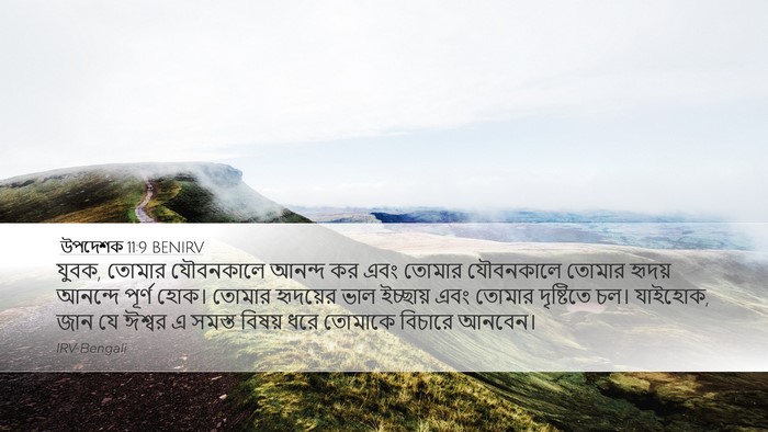উপদেশক 11:9 BENIRV Bible Verse Image