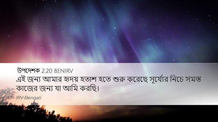 উপদেশক 2:20 BENIRV Bible Verse Image