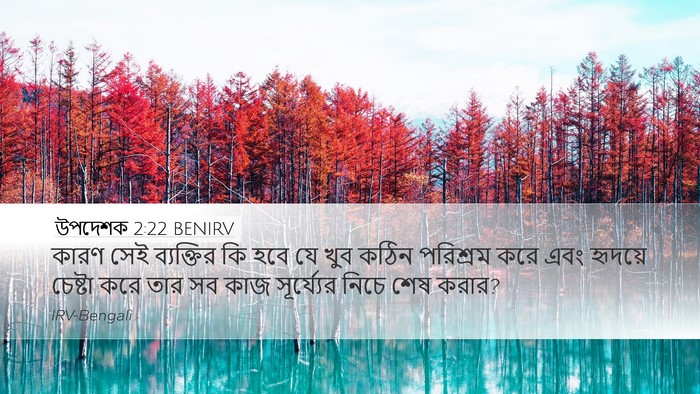 উপদেশক 2:22 BENIRV Bible Verse Image