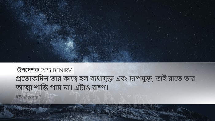 উপদেশক 2:23 BENIRV Bible Verse Image