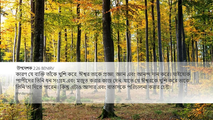 উপদেশক 2:26 BENIRV Bible Verse Image