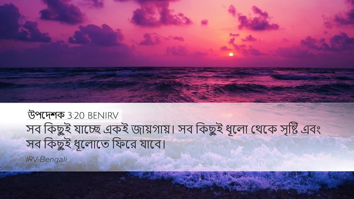 উপদেশক 3:20 BENIRV Bible Verse Image