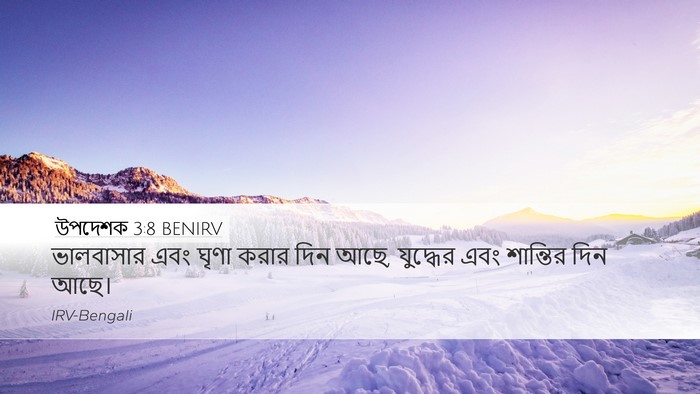 উপদেশক 3:8 BENIRV Desktop Wallpaper - ভালবাসার এবং ঘৃণা - Desktop Bible Verse Wallpaper