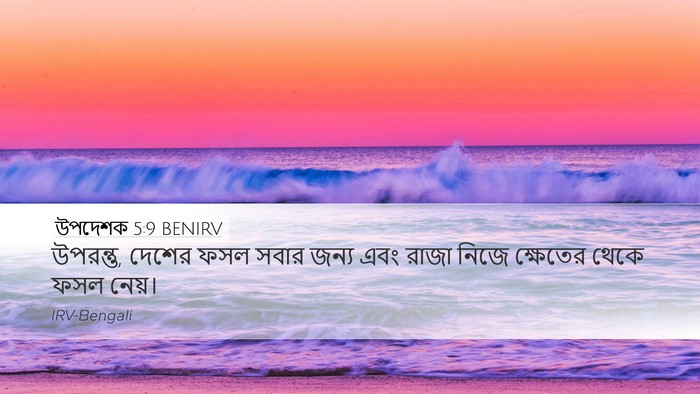 উপদেশক 5:9 BENIRV Desktop Wallpaper - উপরন্তু, দেশের ফসল - Desktop Bible Verse Wallpaper