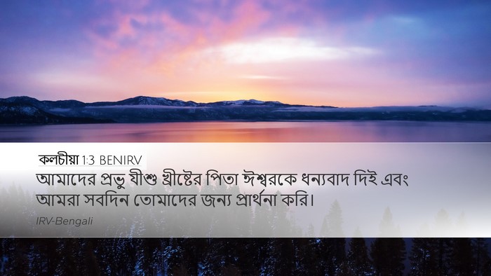 কলচীয়া 1:3 BENIRV Bible Verse Image