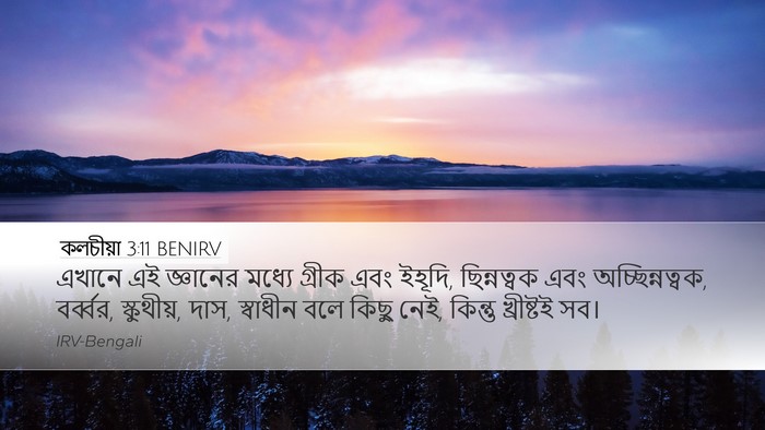 কলচীয়া 3:11 BENIRV Bible Verse Image