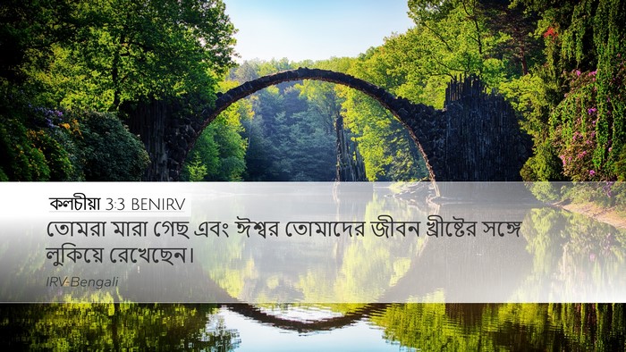 কলচীয়া 3:3 BENIRV Bible Verse Image