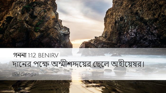 গননা 1:12 BENIRV Desktop Wallpaper - দানের পক্ষে - Desktop Bible Verse Wallpaper