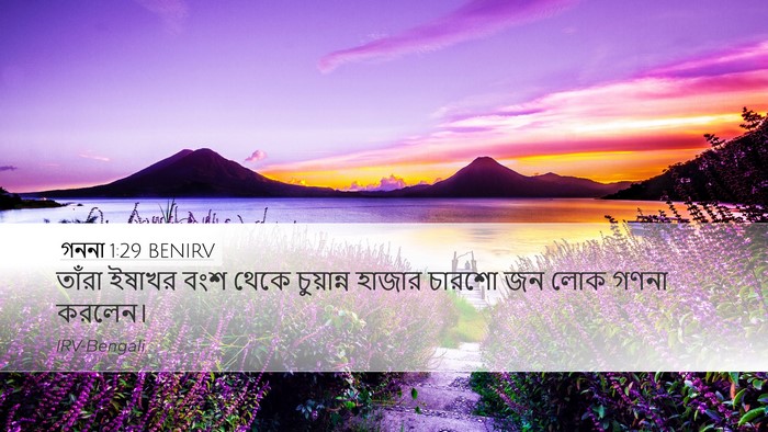 গননা 1:29 BENIRV Bible Verse Image