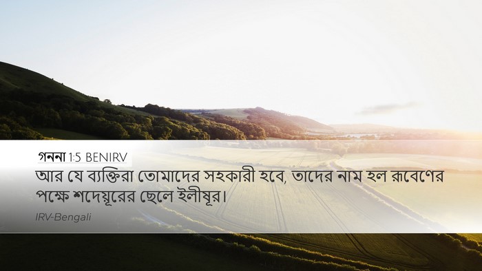গননা 1:5 BENIRV Bible Verse Image