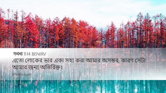 গননা 11:14 BENIRV Desktop Wallpaper - এতো লোকের ভার একা - Desktop Bible Verse Wallpaper