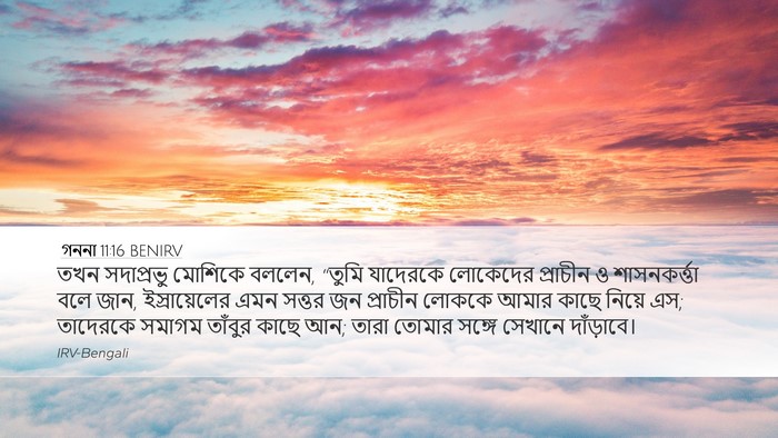 গননা 11:16 BENIRV Bible Verse Image