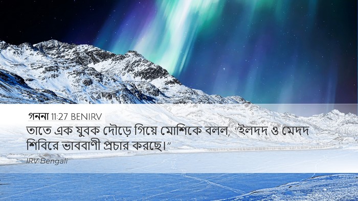 গননা 11:27 BENIRV Desktop Wallpaper - তাতে এক যুবক দৌড়ে - Desktop Bible Verse Wallpaper
