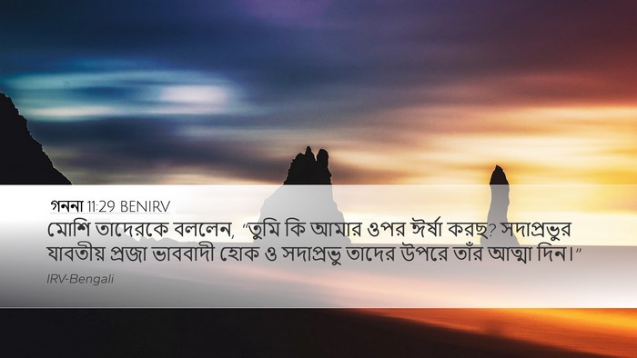 গননা 11:29 BENIRV Desktop Wallpaper - মোশি তাদেরকে - Desktop Bible Verse Wallpaper