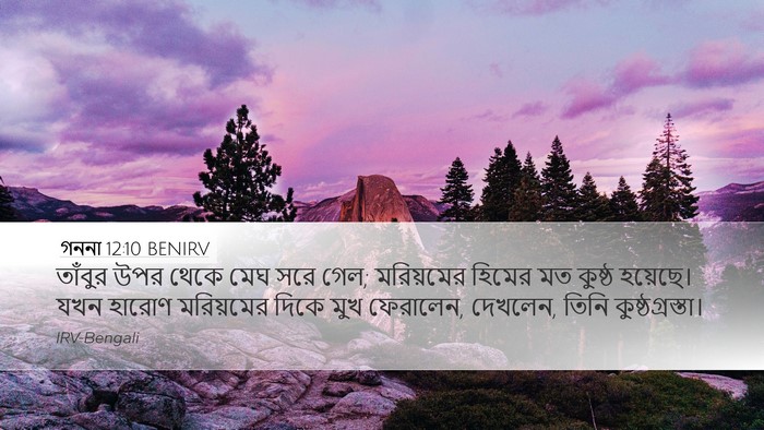 গননা 12:10 BENIRV Desktop Wallpaper - তাঁবুর উপর থেকে - Desktop Bible Verse Wallpaper