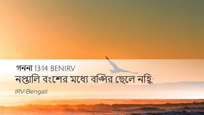 গননা 13:14 BENIRV Desktop Wallpaper - নপ্তালি বংশের - Desktop Bible Verse Wallpaper