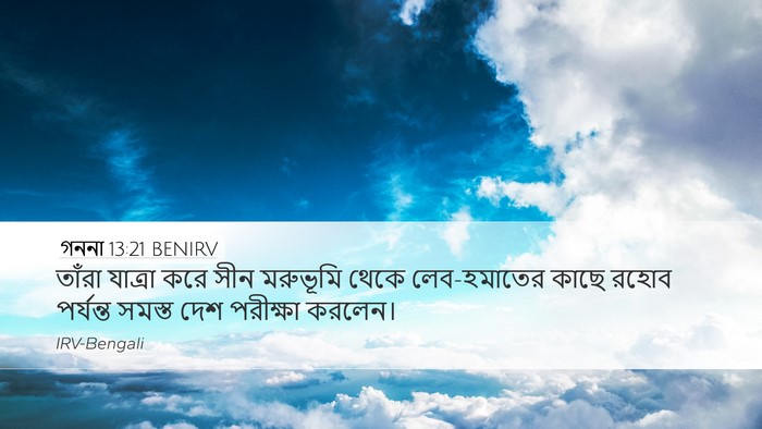 গননা 13:21 BENIRV Bible Verse Image