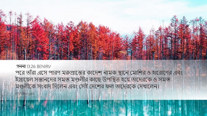 গননা 13:26 BENIRV Bible Verse Image