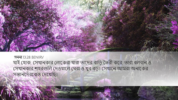 গননা 13:28 BENIRV Bible Verse Image
