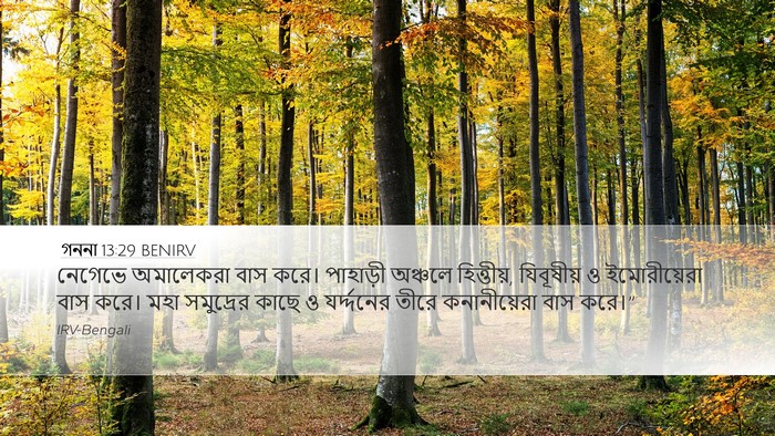 গননা 13:29 BENIRV Bible Verse Image