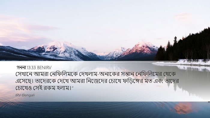 গননা 13:33 BENIRV Bible Verse Image
