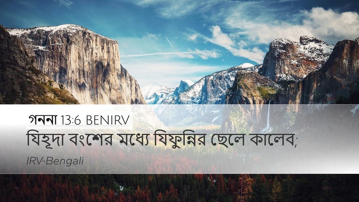 গননা 13:6 BENIRV Bible Verse Image