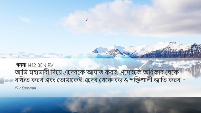 গননা 14:12 BENIRV Desktop Wallpaper - আমি মহামারী দিয়ে - Desktop Bible Verse Wallpaper