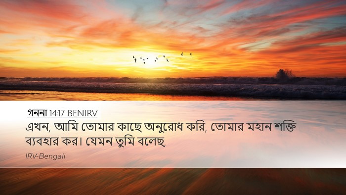 গননা 14:17 BENIRV Desktop Wallpaper - এখন, আমি তোমার কাছে - Desktop Bible Verse Wallpaper