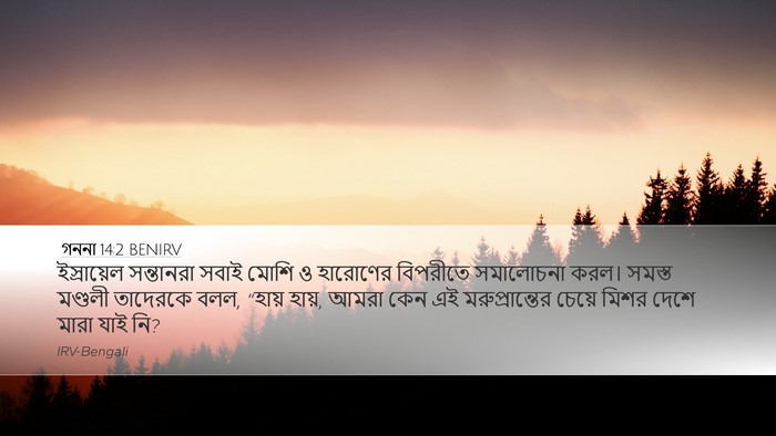 গননা 14:2 BENIRV Bible Verse Image