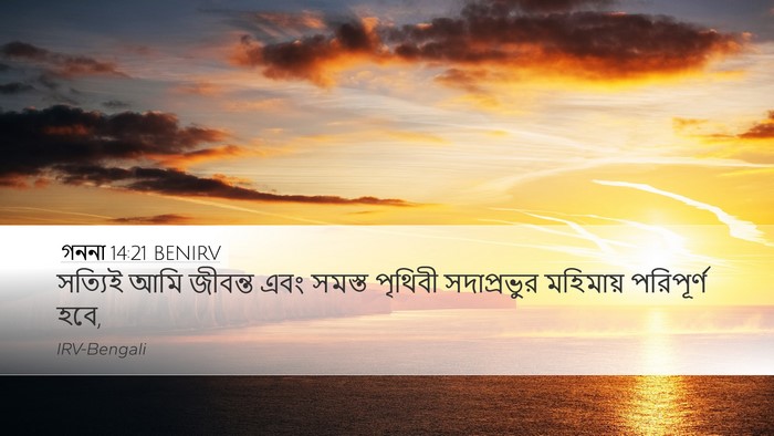 গননা 14:21 BENIRV Bible Verse Image