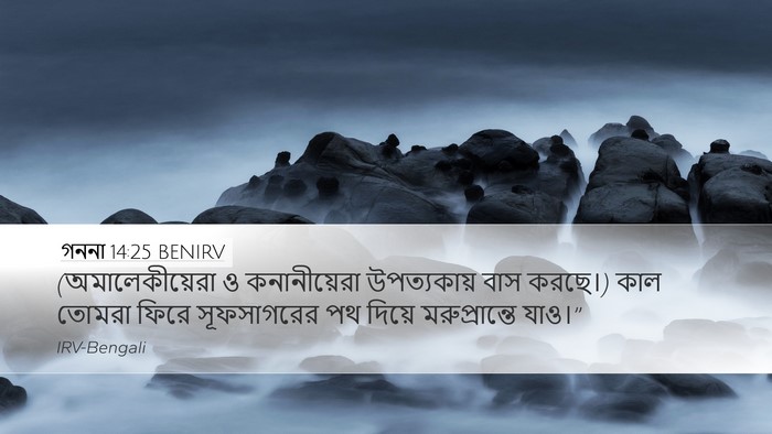গননা 14:25 BENIRV Bible Verse Image