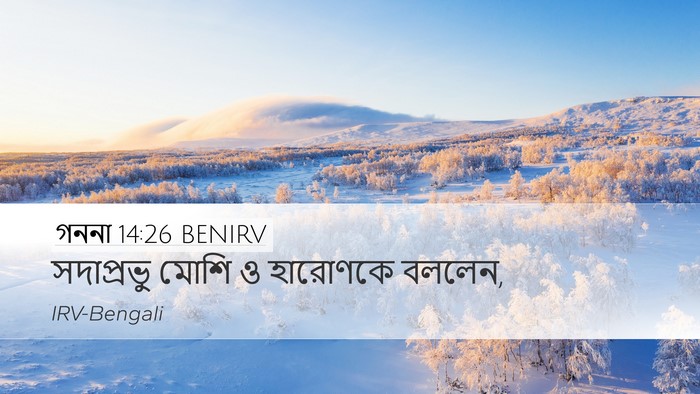 গননা 14:26 BENIRV Desktop Wallpaper - সদাপ্রভু মোশি ও - Desktop Bible Verse Wallpaper