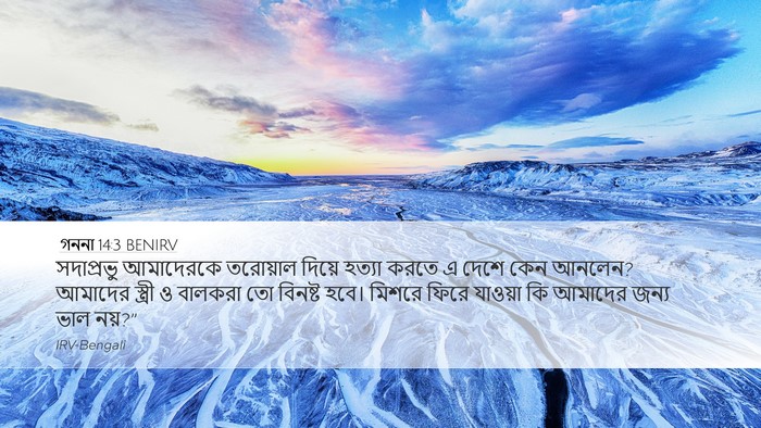 গননা 14:3 BENIRV Bible Verse Image