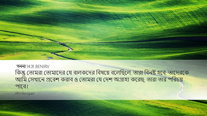 গননা 14:31 BENIRV Bible Verse Image
