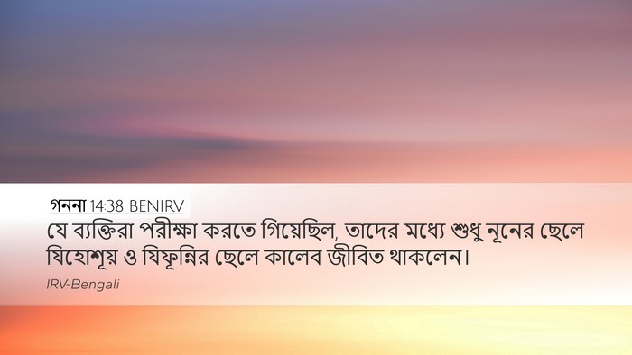 গননা 14:38 BENIRV Bible Verse Image