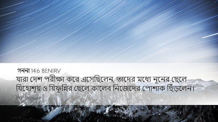 গননা 14:6 BENIRV Bible Verse Image