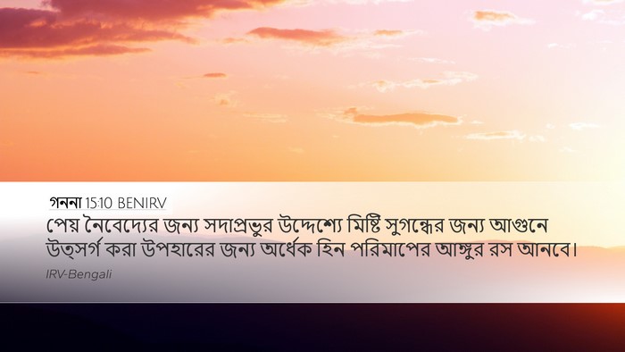 গননা 15:10 BENIRV Desktop Wallpaper - পেয় নৈবেদ্যের - Desktop Bible Verse Wallpaper