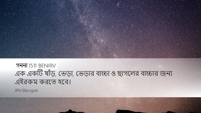 গননা 15:11 BENIRV Desktop Wallpaper - এক একটি ষাঁড়, - Desktop Bible Verse Wallpaper