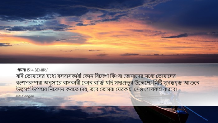 গননা 15:14 BENIRV Desktop Wallpaper - যদি তোমাদের মধ্যে - Desktop Bible Verse Wallpaper