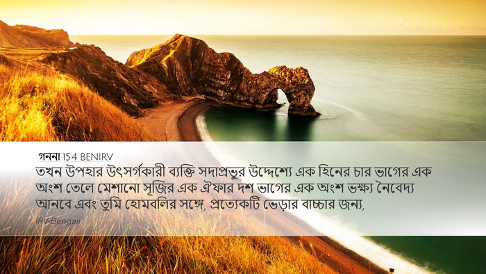 গননা 15:4 BENIRV Desktop Wallpaper - তখন উপহার - Desktop Bible Verse Wallpaper
