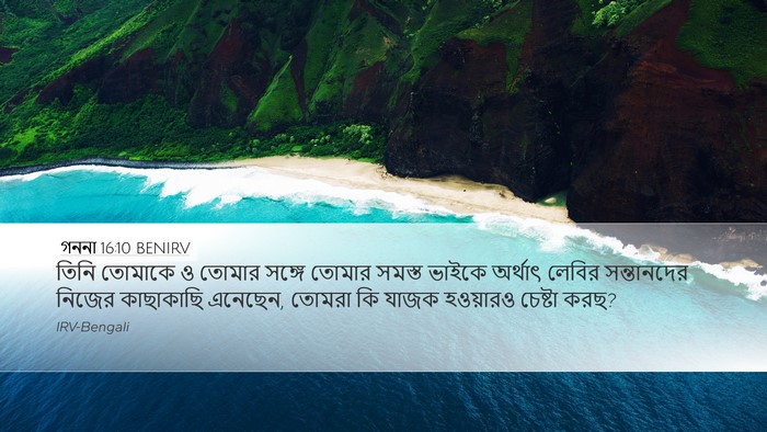 গননা 16:10 BENIRV Desktop Wallpaper - তিনি তোমাকে ও - Desktop Bible Verse Wallpaper