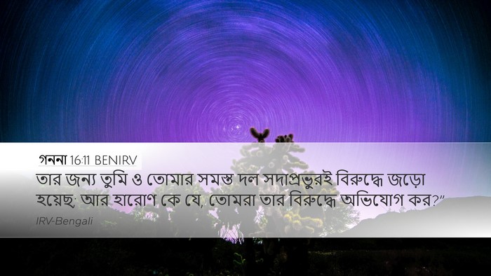 গননা 16:11 BENIRV Bible Verse Image