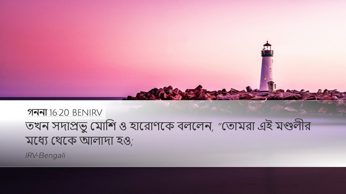 গননা 16:20 BENIRV Desktop Wallpaper - তখন সদাপ্রভু মোশি - Desktop Bible Verse Wallpaper