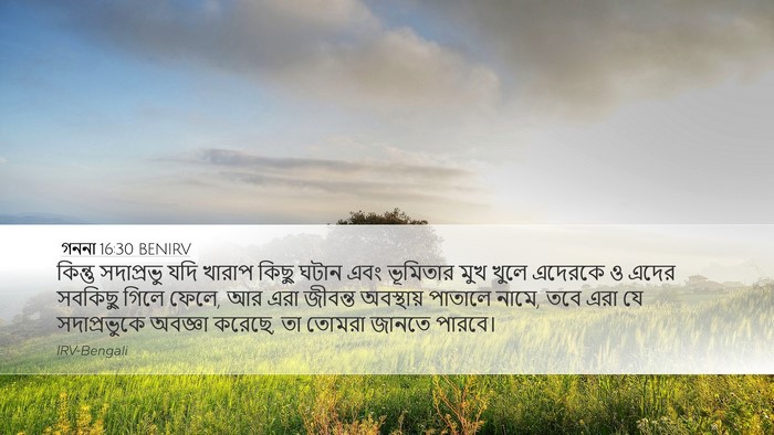 গননা 16:30 BENIRV Bible Verse Image