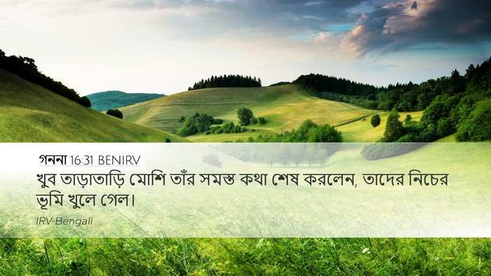 গননা 16:31 BENIRV Bible Verse Image