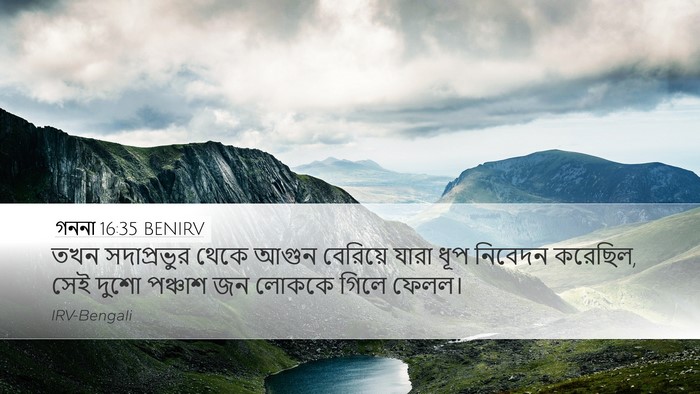 গননা 16:35 BENIRV Bible Verse Image