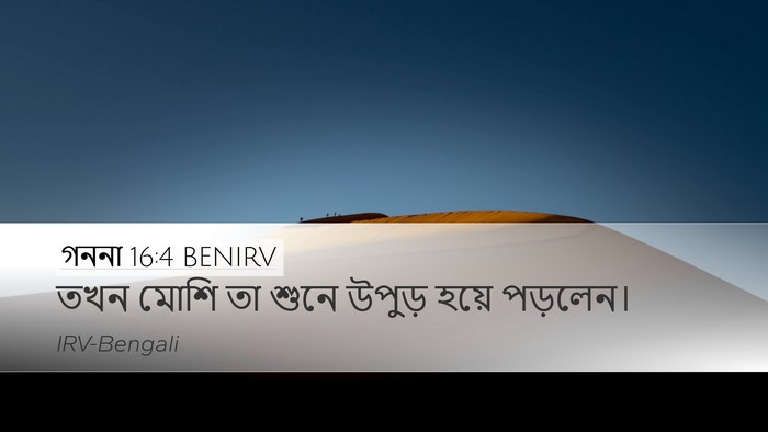 গননা 16:4 BENIRV Bible Verse Image