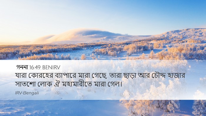 গননা 16:49 BENIRV Bible Verse Image