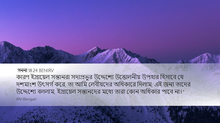 গননা 18:24 BENIRV Desktop Wallpaper - কারণ ইস্রায়েল - Desktop Bible Verse Wallpaper