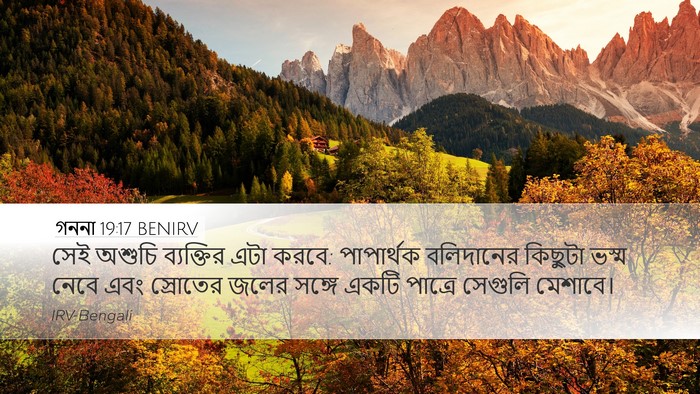 গননা 19:17 BENIRV Desktop Wallpaper - সেই অশুচি - Desktop Bible Verse Wallpaper